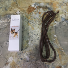 Carica l'immagine nel visualizzatore di Gallery, Enphiblue - Dog Leash, 1/2" x 6FT Nylon Pet Leash, Soft Padded Handle Thick Lead Leash for Medium Dogs Small Puppy - Enphiblue