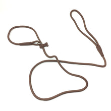 Carica l'immagine nel visualizzatore di Gallery, Enphiblue - Dog Leash, 1/2" x 6FT Nylon Pet Leash, Soft Padded Handle Thick Lead Leash for Medium Dogs Small Puppy - Enphiblue